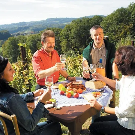 Hotel Drei-mäderl-haus 4*