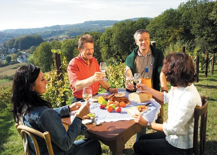 Hotel Garni Drei-maederl-haus 4*